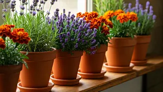 5 Flowering Plants to Naturally Deter Lizards from Your Home