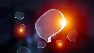 Google's Early LaMDA Chatbot: The Key Facts and Current Status