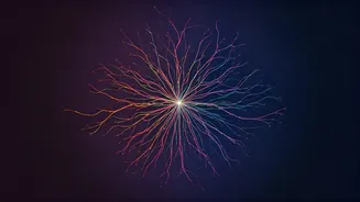 5 Unmistakable Signs of Superior Emotional Intelligence