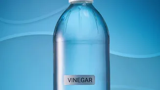How Cold-Pressed Fruit Vinegar Shrubs Deliver Flavorful Low-Sugar Refreshment In Trendy Metro Cafes