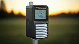 Ambient Weather WS-4000: A Detailed Review