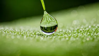 The Superpower of Sensitivity: Embracing Your Tears and Emotional Depth