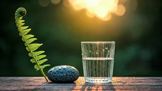 Related Stories banner