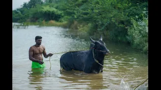 AIADMK to Protest Across Tamil Nadu Over Farm Loan Waiver and Cauvery Issue