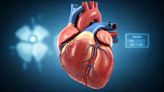 Reverse Aging: Simple Tips From Fitness Coaches