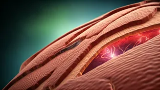 Type 2 Diabetes Biology Unveiled: Global Study Challenges Assumptions, Highlights Tissue Diversity