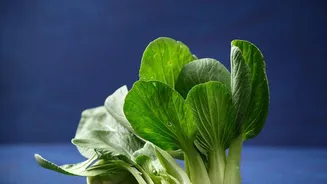 Fibre-Gating Technique: Why Leafy Vegetables Act As A Digestive Buffer For Carbs