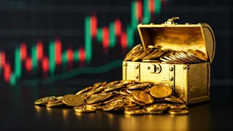 India's IPO Boom: Records, Returns, and Retail Investor Shifts