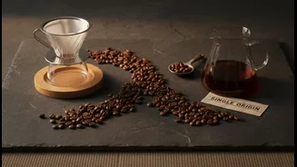 Why urban millennials invest in premium beans from single-origin coffee roasters