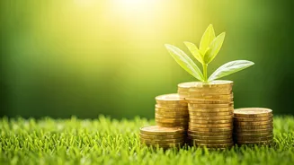 PPF vs. FDs: Maximizing Returns in India