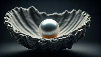 Related Stories banner