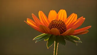 Sagittarius: Your February Love Forecast