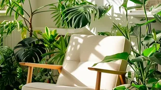 Plant Care Gets Easier When You Understand Humidity's Impact