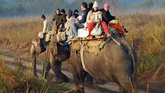 Budget Rail Passes Simplify Multi-Stop Wildlife Itineraries In Central India For Backpackers
