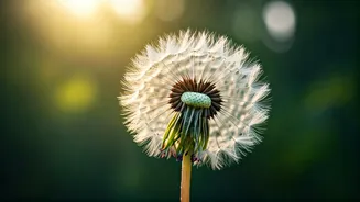 Embrace the Now: Acharya Prashant's Wisdom on Living a Quality Life Today