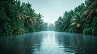 Off-Season Kerala Trips Are Suddenly Looking Premium
