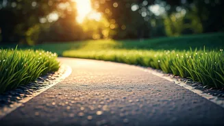 Unlock Your Best Health: The Simple Power of Post-Meal Walks