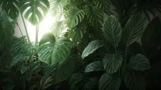 Humidity-Loving Plants That Brighten Rainy Days
