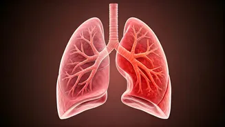 Related Stories banner