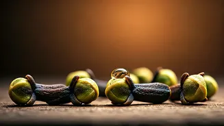 Unlock a Healthier Smile: The Power of Clove Oil for Oral Hygiene