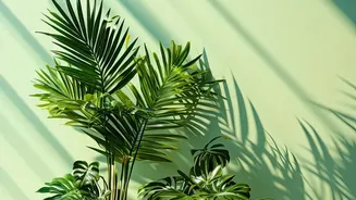 A Seasonal Sun Shift Can Alter the Best Pot Position