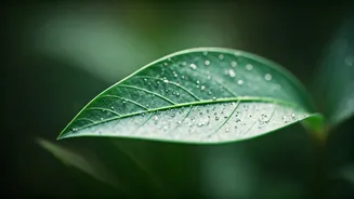 Pesticide Exposure Unveiled: A 150% Cancer Risk Increase Linked to Everyday Chemicals