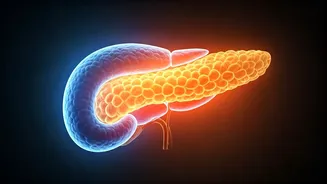 Insulin Resistance & High Blood Sugar: Unpacking the Complex Connection
