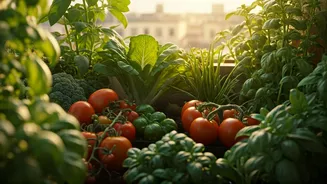 Balcony Farming Makes City Life Greener