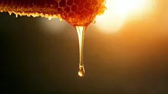 Unveiling the Sweet Secrets of Honey: Benefits for You