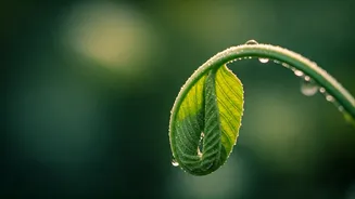 10 Minutes to Calm: Spiritual Practices to End Overthinking and Anxiety
