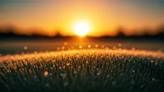 Unlock Your Potential: Powerful 5 AM Affirmations for a Transformed Day