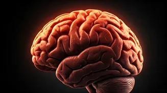 Clean eating can cause B12 deficiency