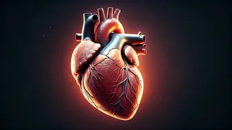 Related Stories banner