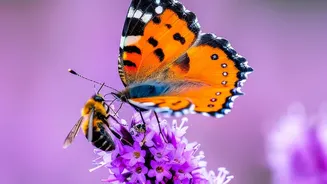 Urban Biodiversity Shifts: How Autumn Flower Blooms Create Vital Urban Pollinator Stops