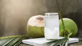 Coconut water and hydration: Myths v/s facts