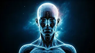 Related Stories banner