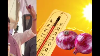 Can An Onion In Your Pocket Save You From Heatwaves? Truth Behind Jyotiraditya Scindia’s Viral Tip