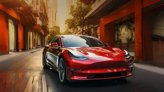 Tesla's Screen Fills with Cars, Bikes and Pedestrians in Indian Traffic