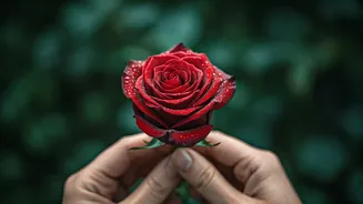 Celebrate Rose Day 2026: Heartfelt Quotes & Wishes for Your Cherished Best Friend