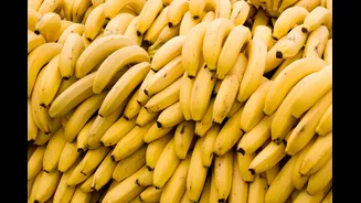 A banana pode ser uma poderosa aliada no controle da pressão alta