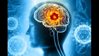 Include These 5 Fiber-Rich Fruits & Vegetables In Your Diet For Better Gut & Brain Health