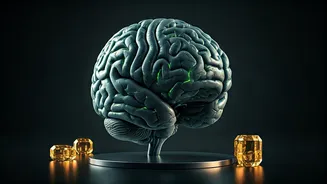 NEET UG 2026: Expert Strategies, Syllabus Insights, and Registration Guidance