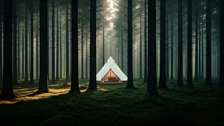 Book Secluded Eco Glamping Sites Surrounded By Deep Pine Forests