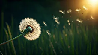 Unleash Your Life: Osho's Wisdom on Conquering Fear for True Living