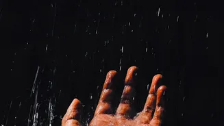 IMD's District-Level Monsoon Warnings Makes Local Weather Decisions For Travel Days Essential