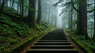 Cloud Walks Turn Rainy Days Into Dreamy Adventures
