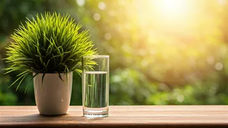 Bobby Deol's Journey: Alcohol to Better Relationships