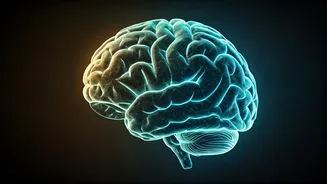 Short Meditation Helps Screen-Tired Brains Reset Fast
