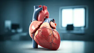 Avoid These 4 Things for Heart Health After 30