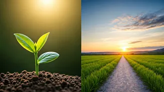 Work-Life Balance Drives Career Planning